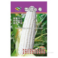 White Sweet Waxy Glutinous Maize Seeds Corn Seeds For Growing Super Sweet Tasty-Snow Waxy No.6
